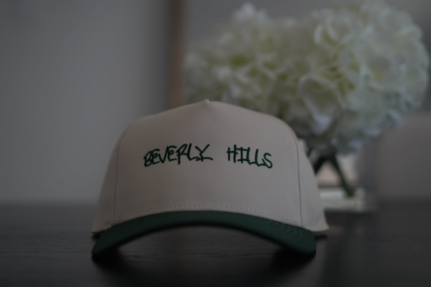 π City Hats (SnapBack)