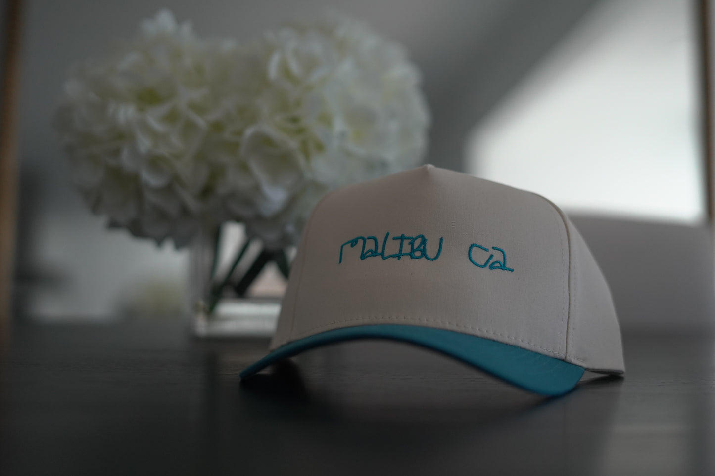 π City Hats (SnapBack)