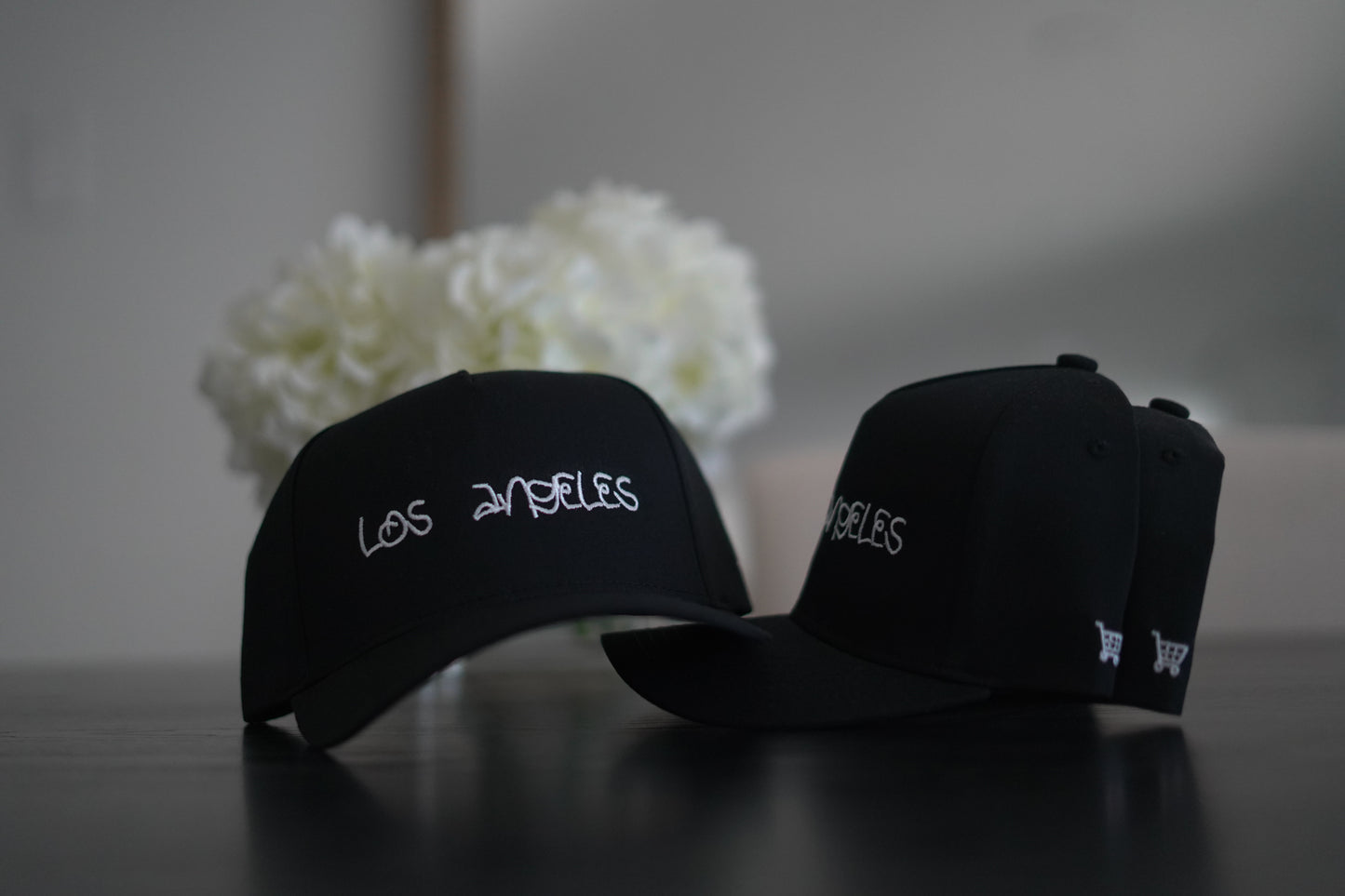 🛒 City Hats (SnapBack)