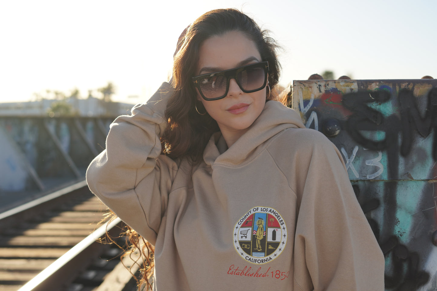 🛒 LA County Hoodie