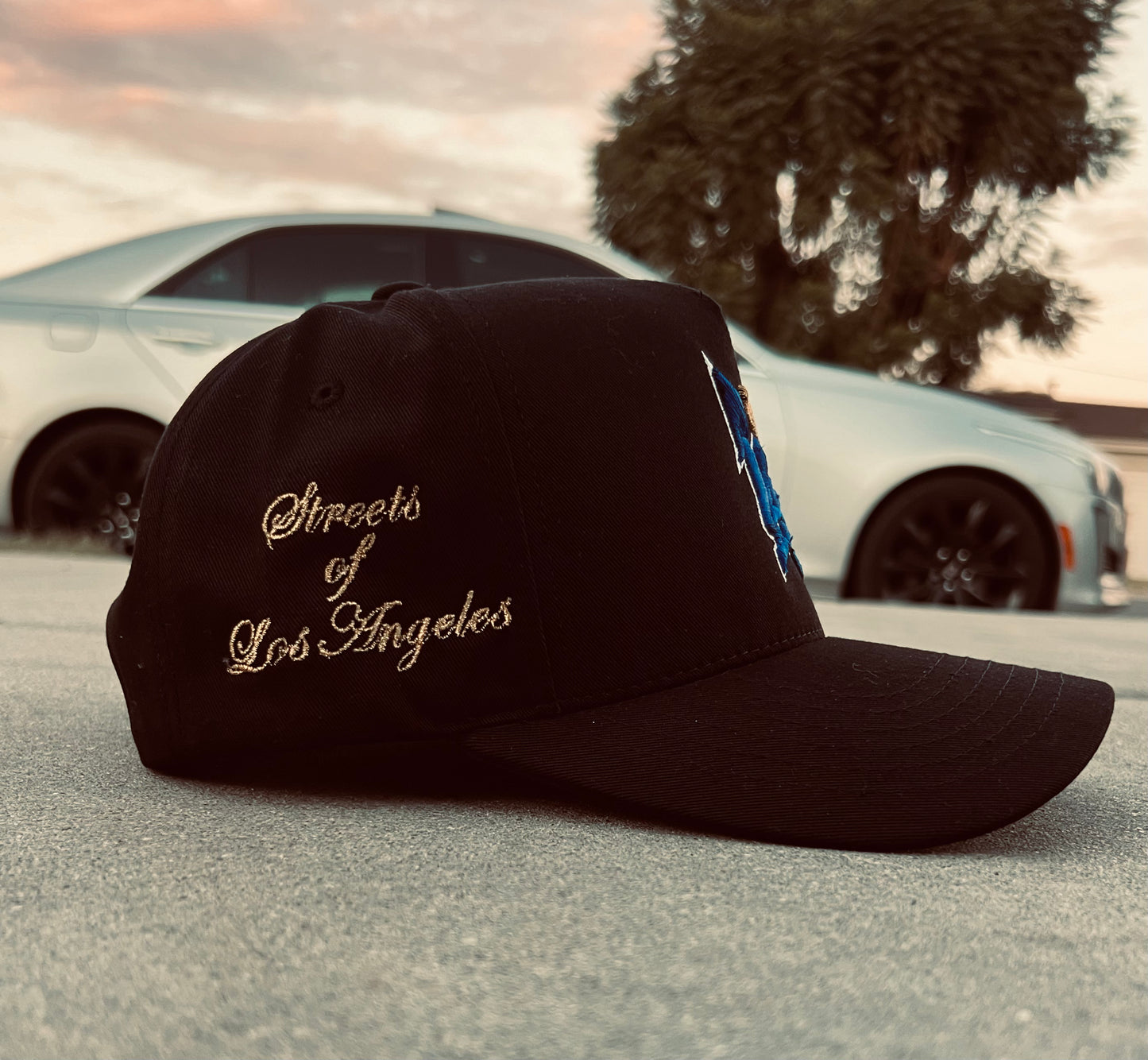 🛒 Streets of LA SnapBack