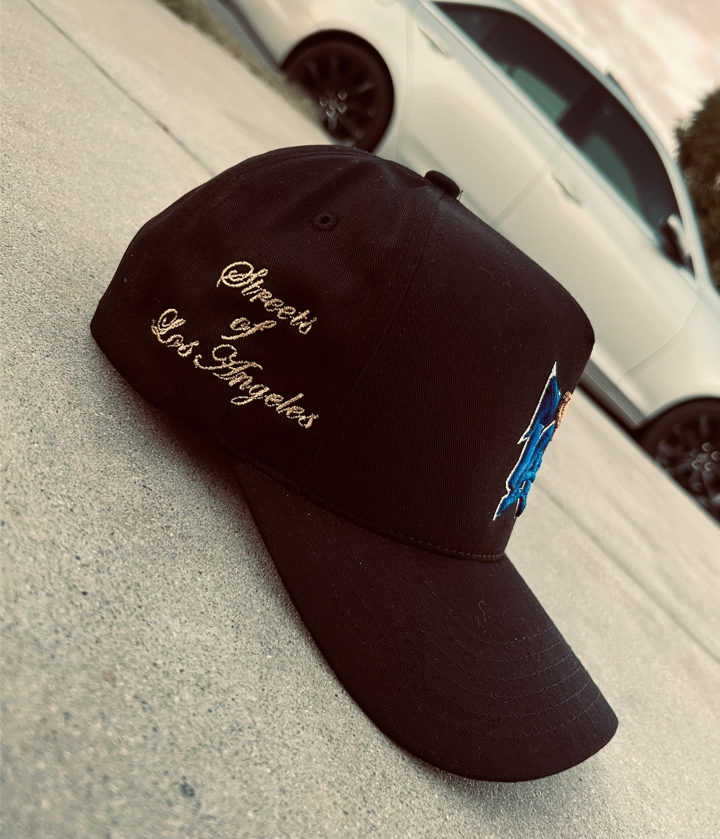 🛒 Streets of LA SnapBack